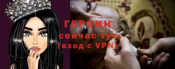 гидра Арсеньев