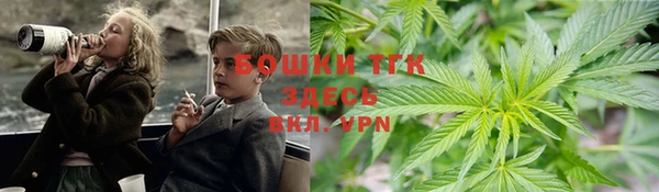 крисы Армянск