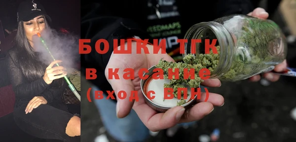 гидра Арсеньев