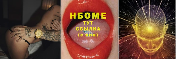 гидра Арсеньев