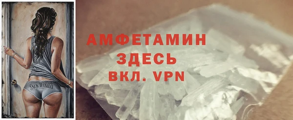 гидра Арсеньев