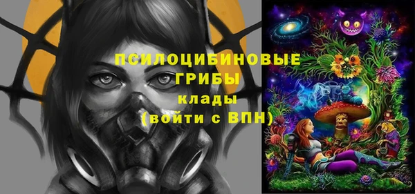 крисы Армянск