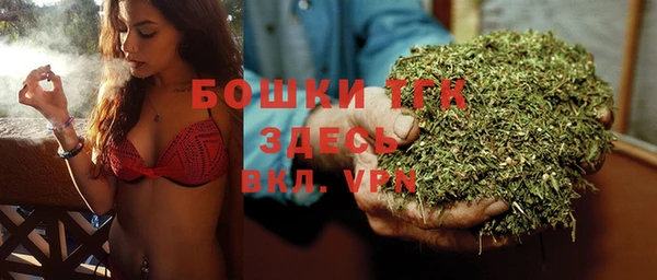 крисы Армянск