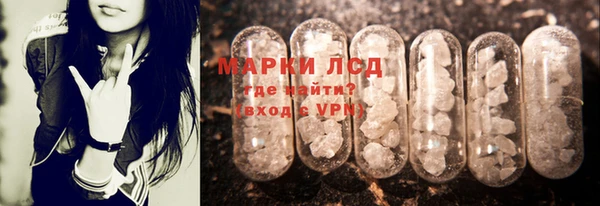 гидра Арсеньев