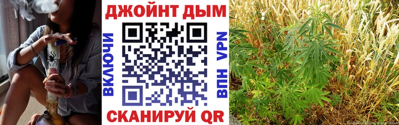 darknet как зайти  Рыбное  Шишки марихуана White Widow  где можно купить  